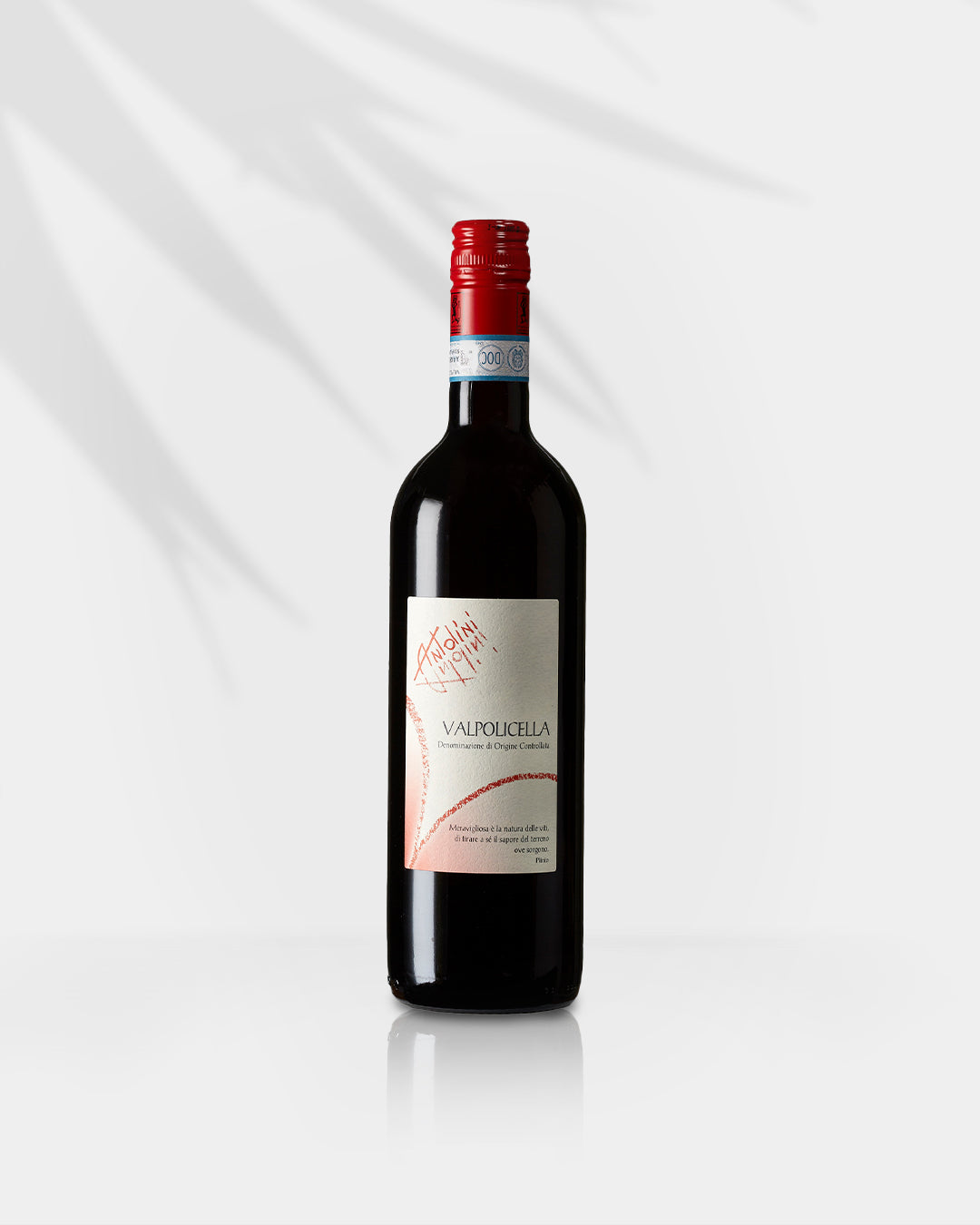 Antolini Valpolicella Classico 2019 - Rode wijn