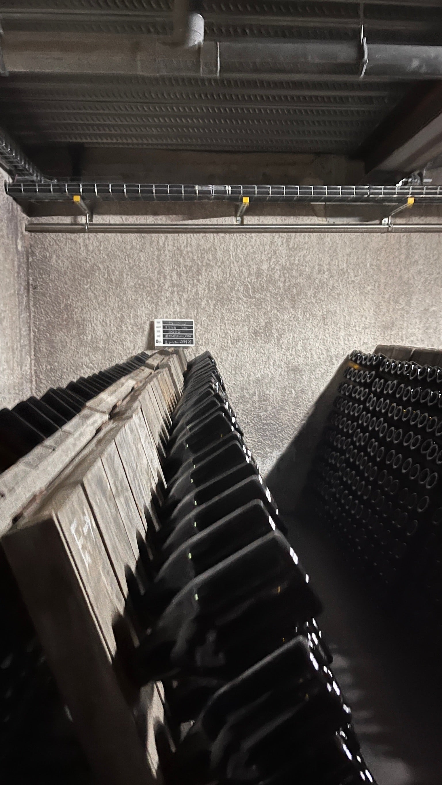 Wijn uit Zeeland: zee, wind en druiven