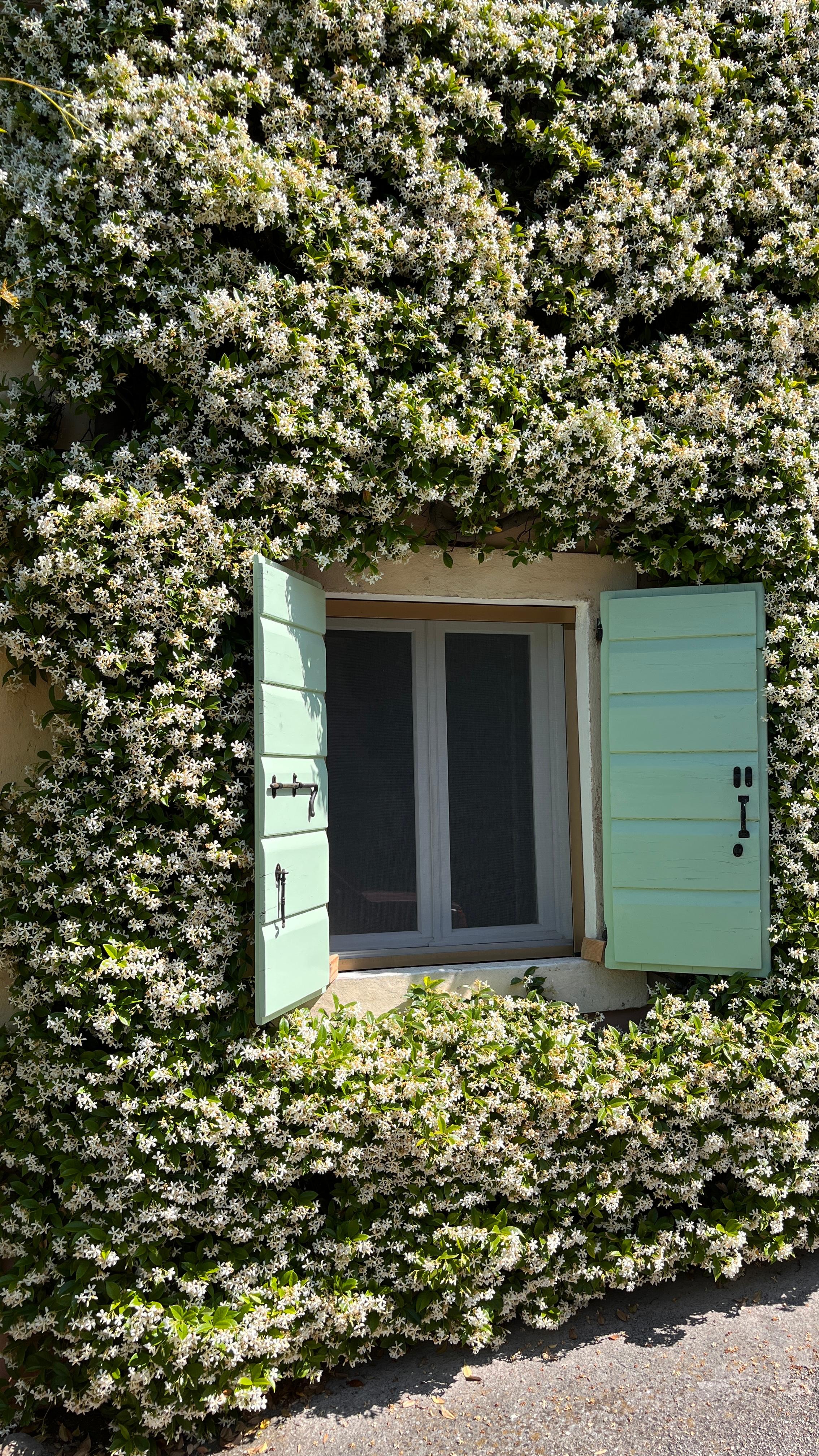 Duurzame wijnbouw: hoe wijnmakers de planeet beschermen