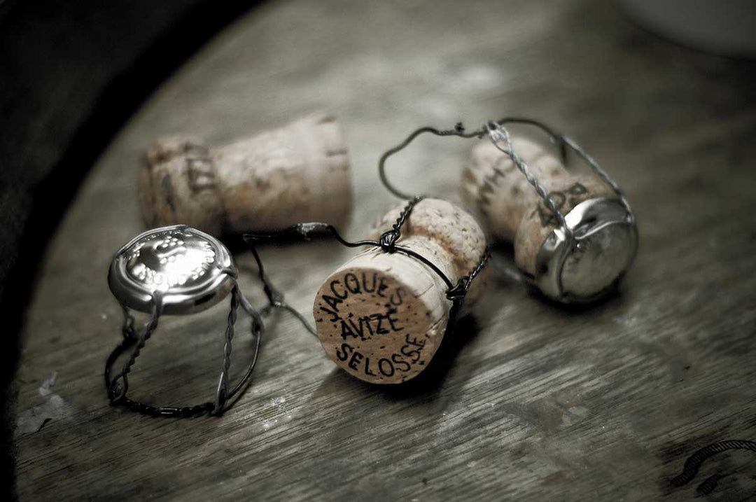 Wijn voor beginners: zo kies je jouw eerste fles