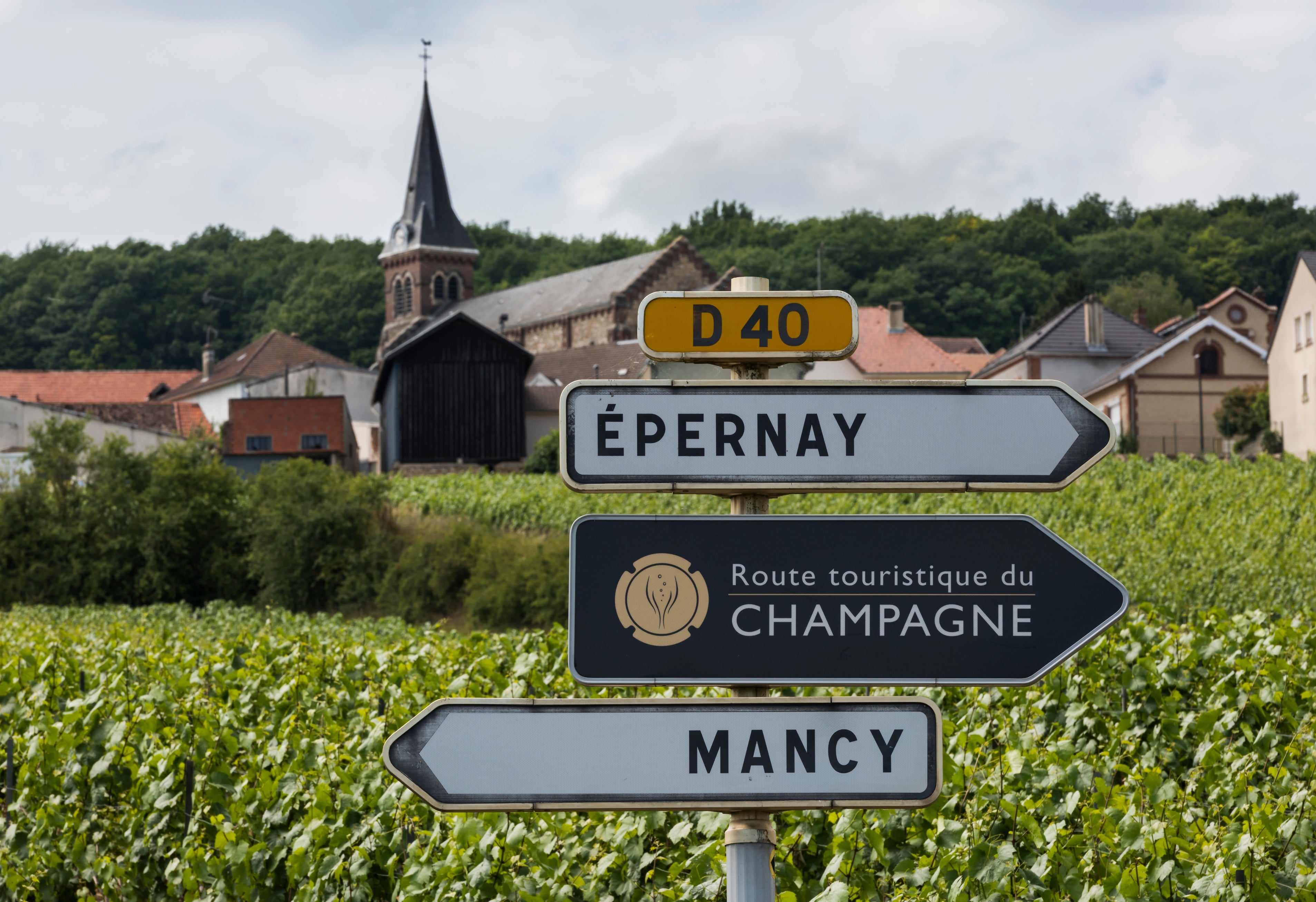 Anselme Selosse: Kunstenaar der terroirs van de Côte des Blancs