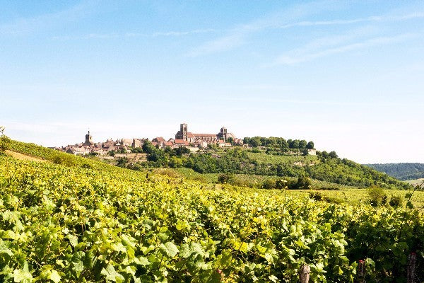 Vezelay, biologische biodynamische wijnen. Passie voor duurzame wijn en bio wijn. Duurzame bio producent, bio wijn biologische wijn. Duurzame wijnen, onze best verkopende selectie. Biologische bio wijn. Passie voor duurzame wijn.